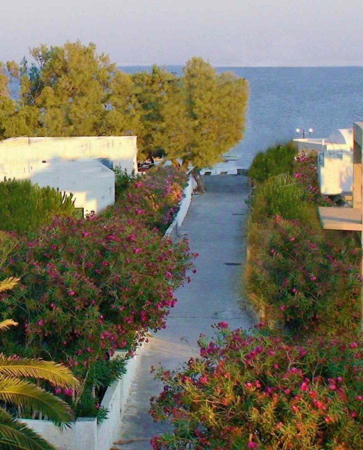 Located By The Sea One Beachfront Private Captain Lazaros Pool Villa With Loft In 750Sqm Spacious Private Plot-Jacuzzi-Sunrelax-Furnished Terace-Gazebo-Private Parking,Sleep 3 Adults And 2 Children, Just Steps From The Black Beach-Seaview Perissa (Santorini) Exterior foto